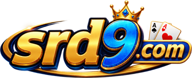 srd9 com